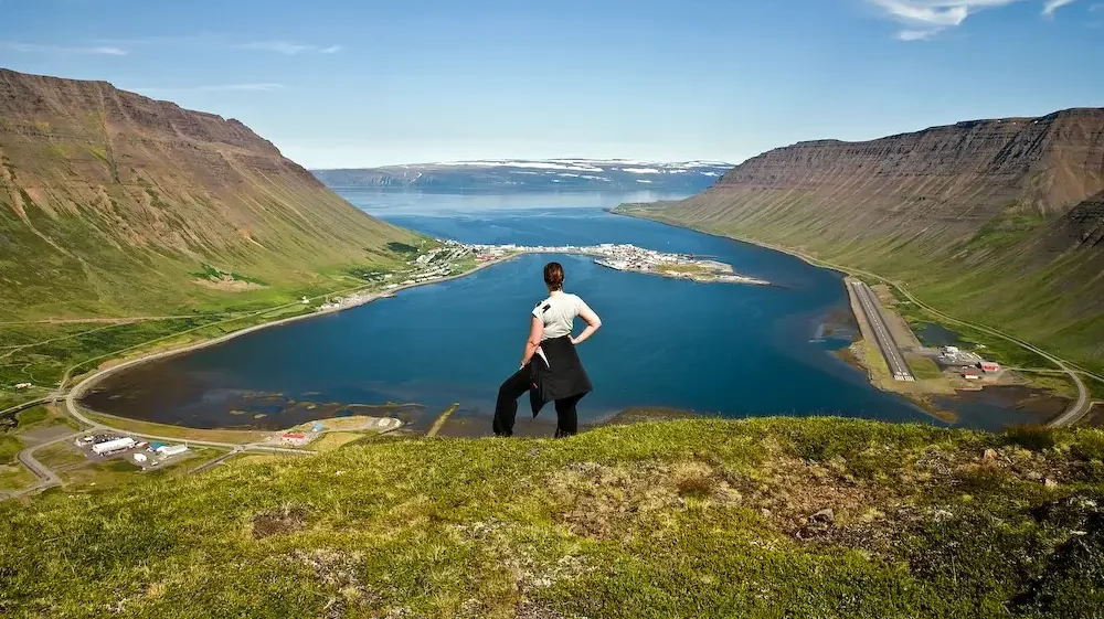 Iceland wildlife tours