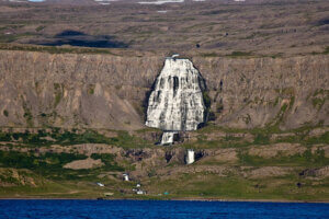 Visites de la faune et de la flore en Islande