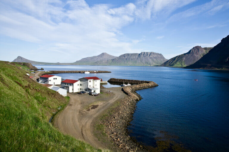 Visite guidate in Islanda