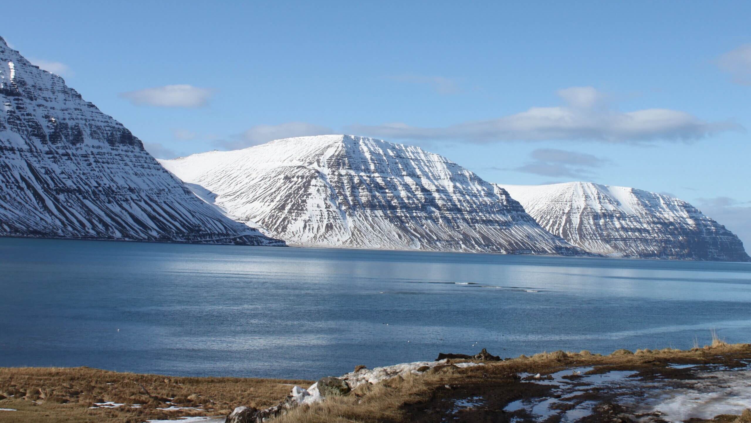 westfjords iceland tours