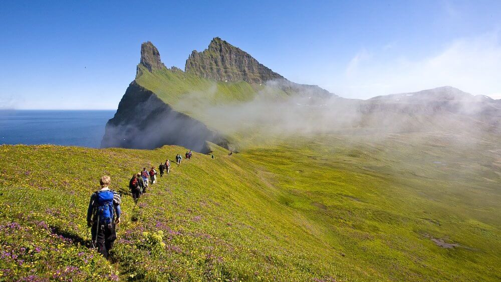 Iceland wildlife tours