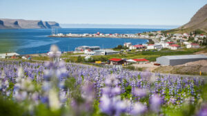 Escursione da Patreksfjordur a Talknafjordur