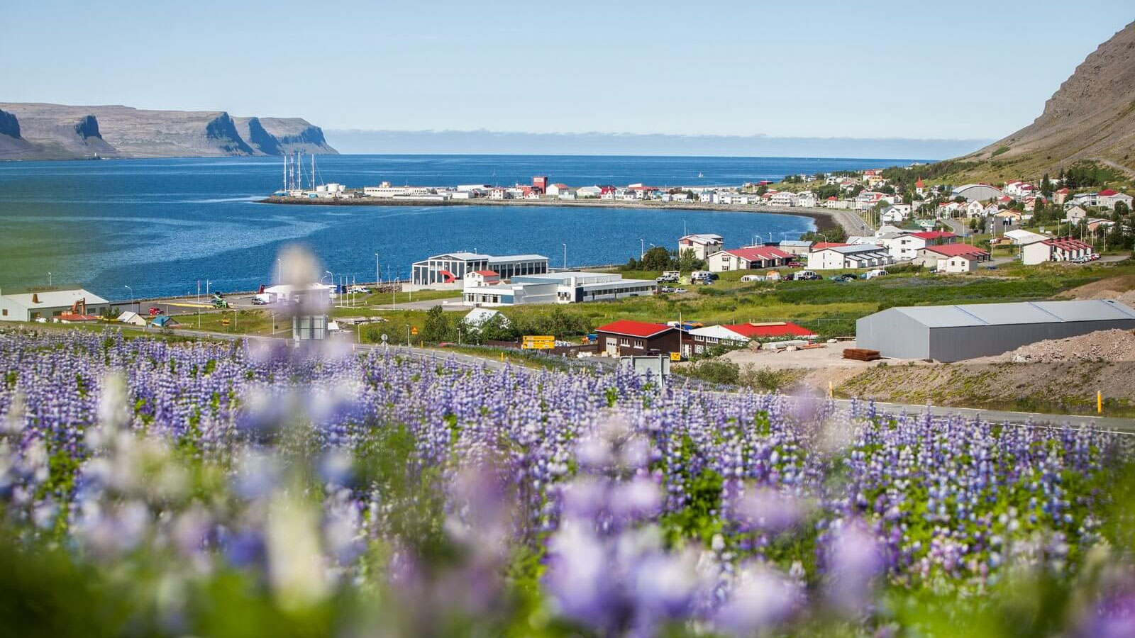 Patreksfjordur to Talknafjordur Hike