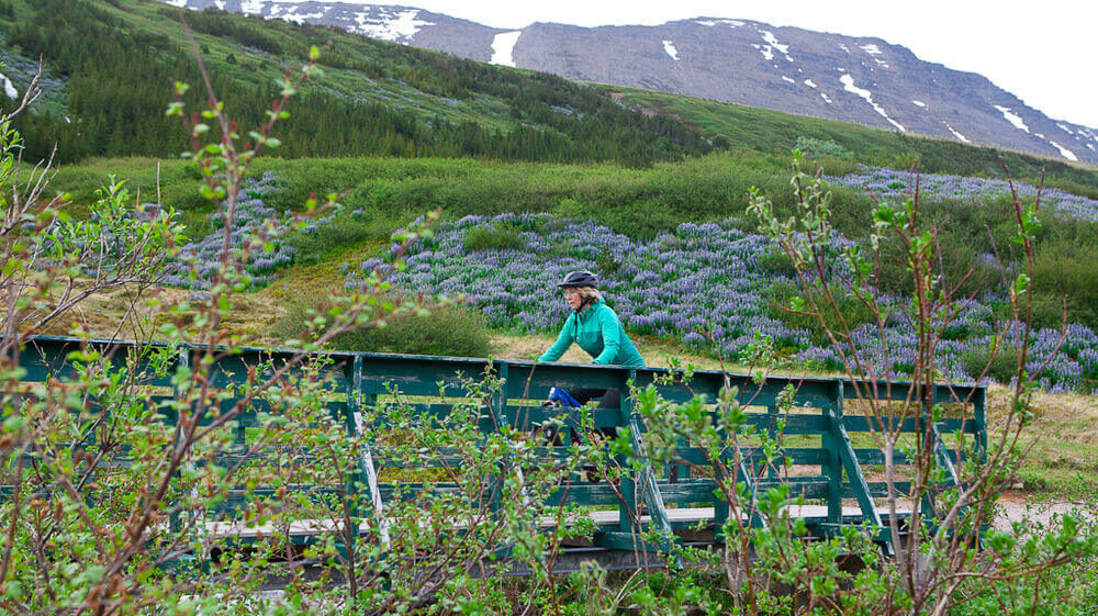 Iceland camping tours