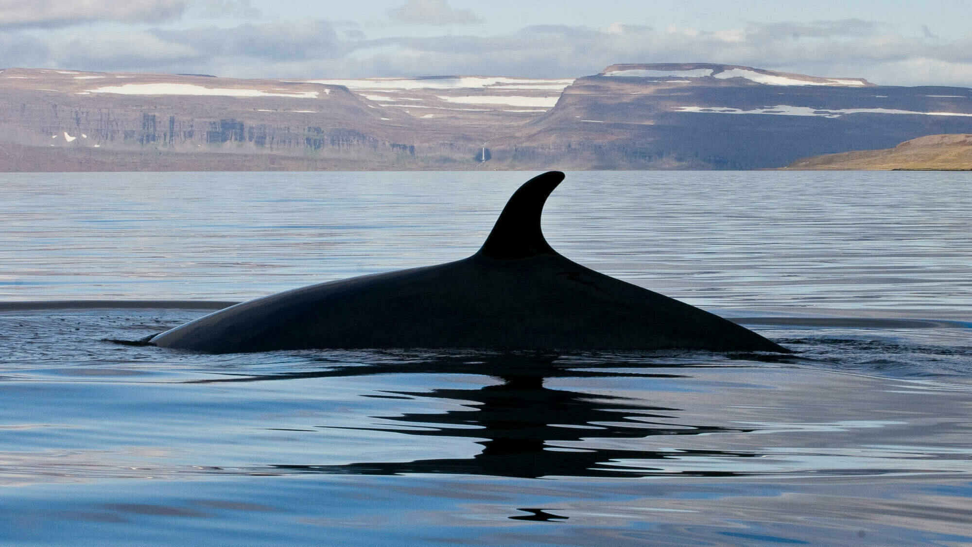 westfjords iceland