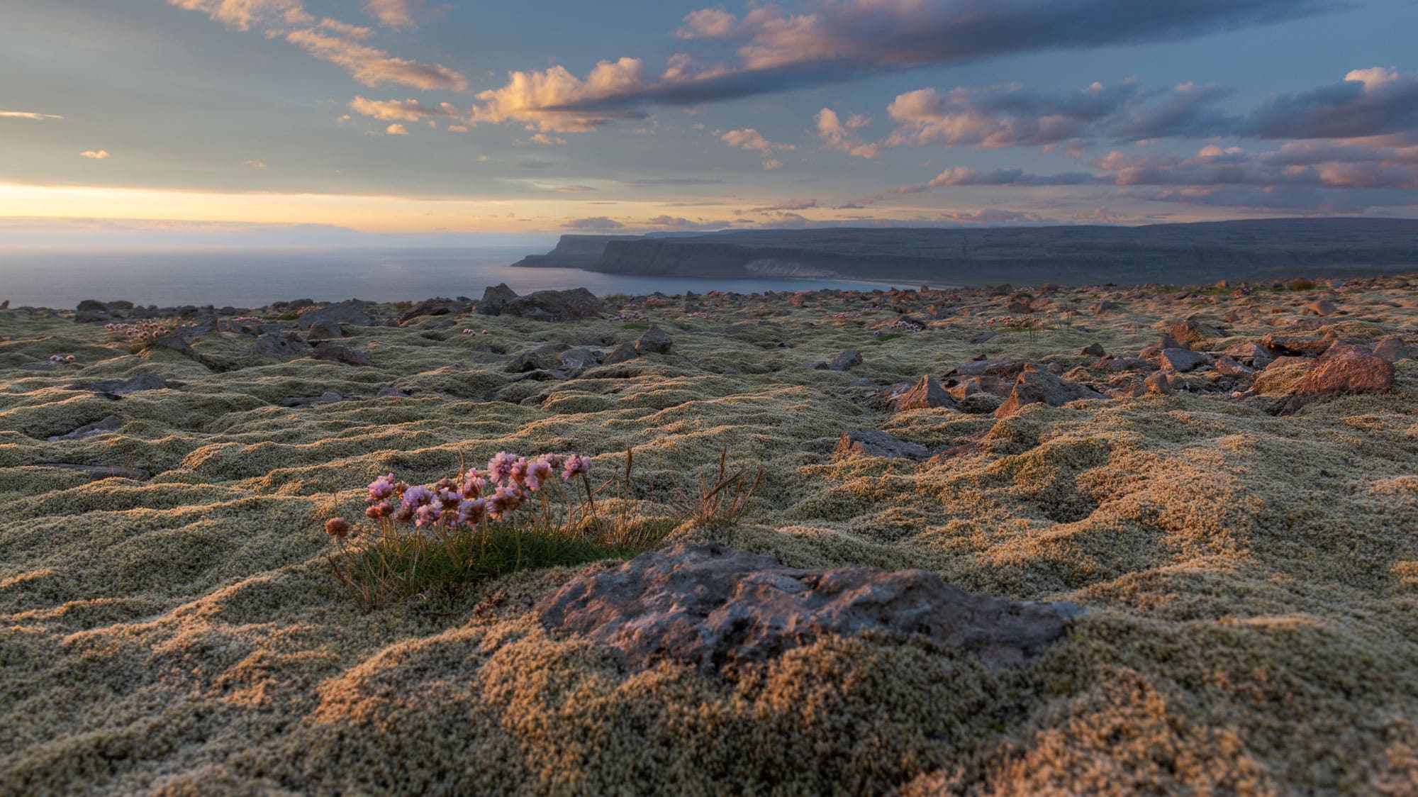 Discover the Westfjords