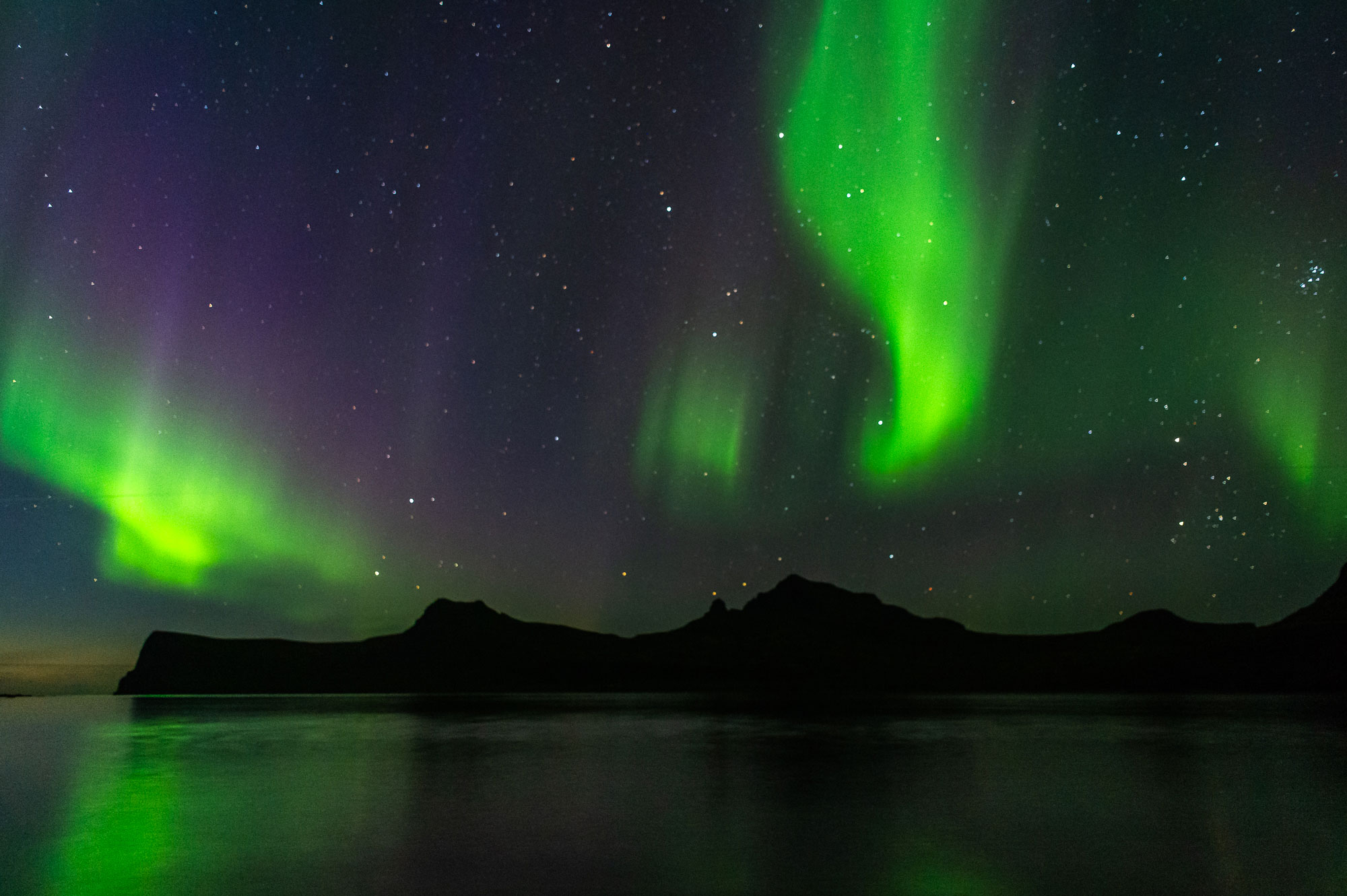 Winter tours in the Westfjords