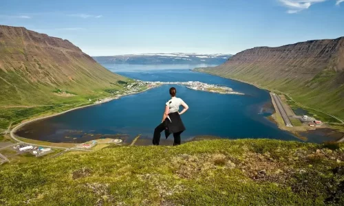 Visites de la faune et de la flore en Islande