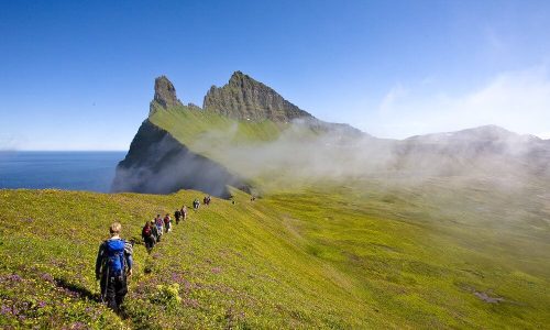Visites de la faune et de la flore en Islande