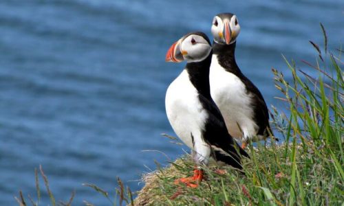 Circuits nature en Islande