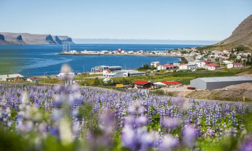 Guides de voyage en Islande