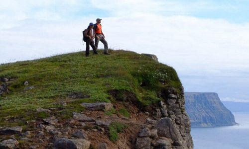 Visites de la faune et de la flore en Islande